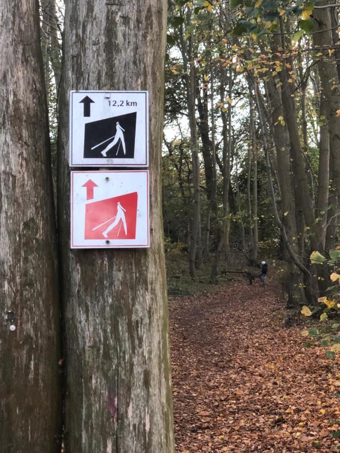 Fewo Erholsame Auszeit Neubrandenburg Eksteriør billede